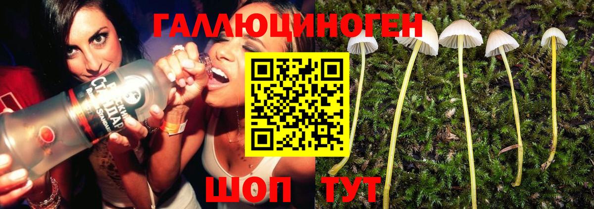 Галлюциногенные грибы GOLDEN TEACHER Кстово